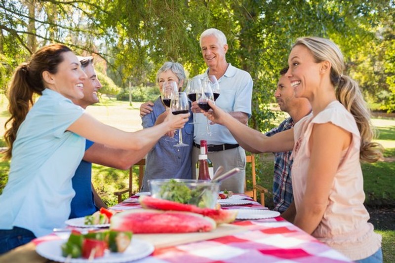 People at a picnic toasting with wineglasses